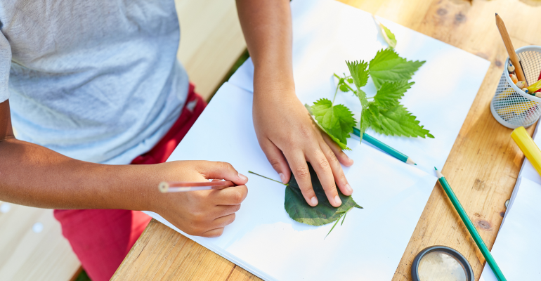 When you integrate science lessons into other school subjects, students realize the connection of STEM to the world around them.