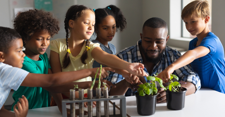 8 Fun Ideas for Spring STEM Science Projects for 1st Grade Students