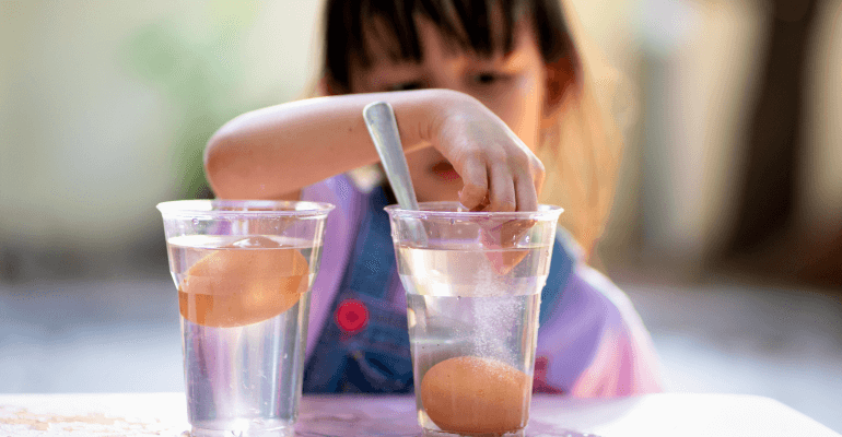 An elementary school age student sits behind two clear glasses of water that each contain an egg. She is conducting a science experiment.