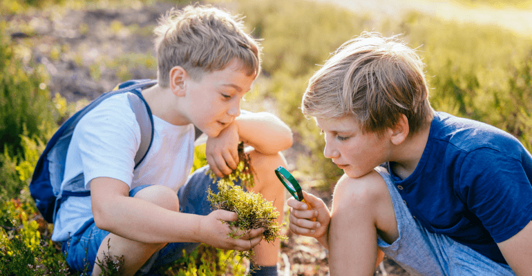 Two male blonde school children inspect a patch of moss outside. One student wears a backpack and the other holds a magnifying glass up to the moss to inspect it.